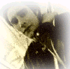 Jon Lee - Video Stills